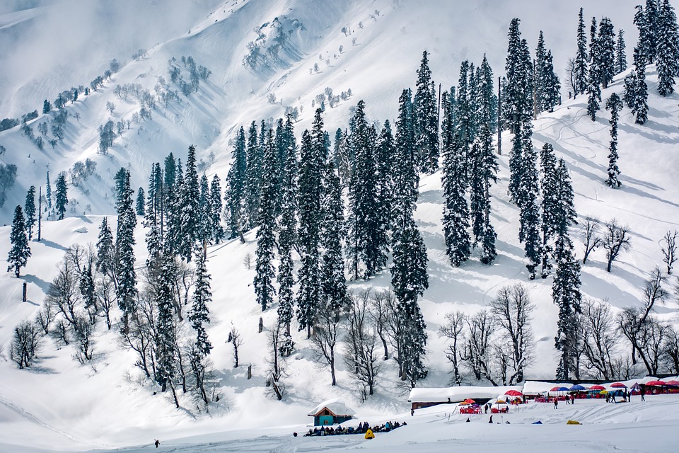 Kashmir Delight