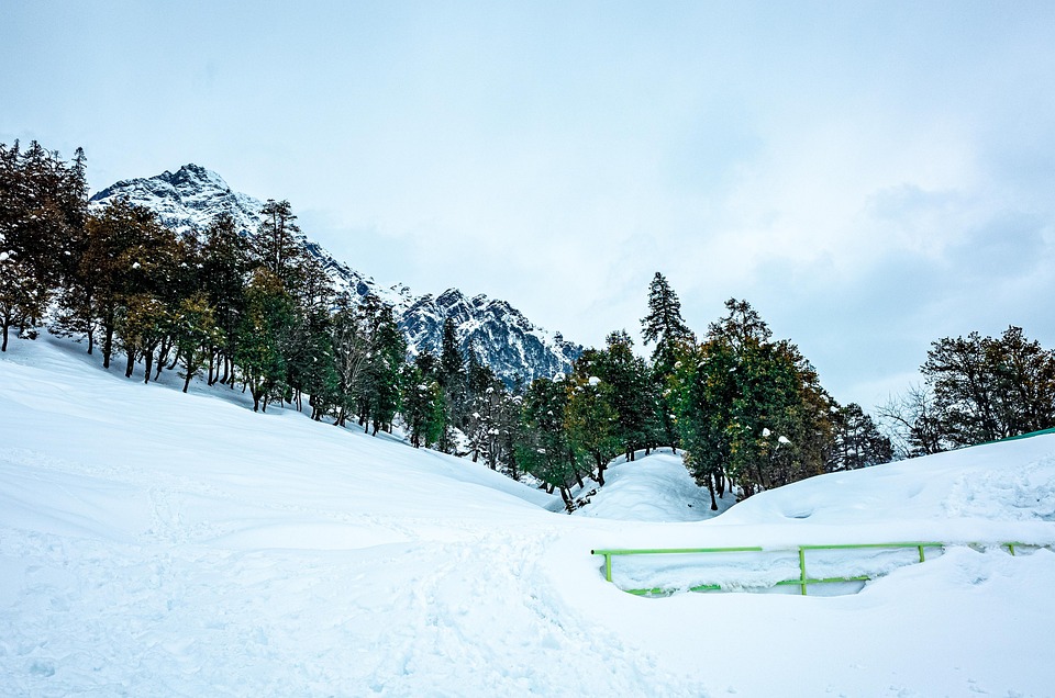 Shimla and Manali Honeymoon
